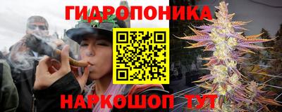 гидра Ачхой-Мартан