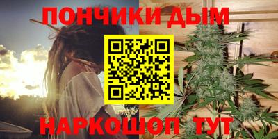гидра Ачхой-Мартан