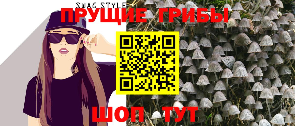 Псилоцибиновые грибы Cubensis  Вход с VPN  Белогорск 