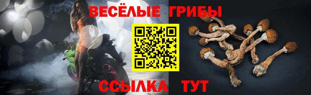 Галлюциногенные грибы Magic Shrooms Белогорск